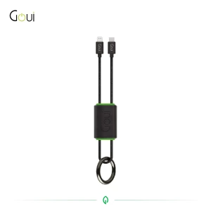 Goui Lock - Câble iPhone Porte-Clés Lightning vers Type C (27 cm)